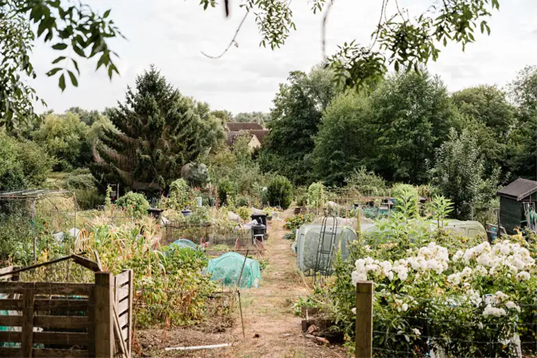 Millers Field Oundle allotments