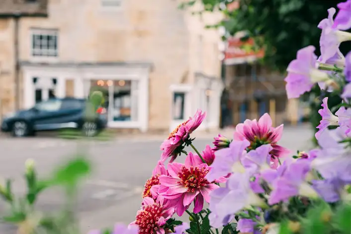 Millers Field Oundle flowers