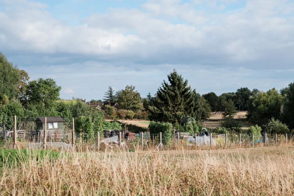 A view across the Millers' field site towards the allotments