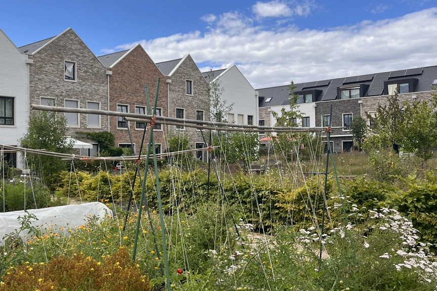 Marmalade lane garden