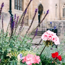 Flowers in front of a building in Oundle