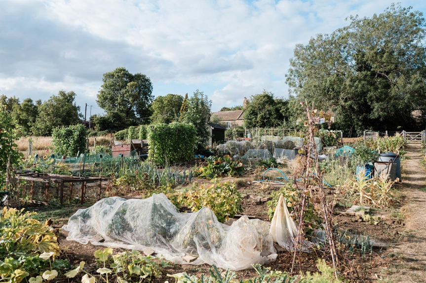 Growing space at Millers' Field